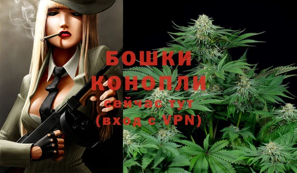 шишки Богданович
