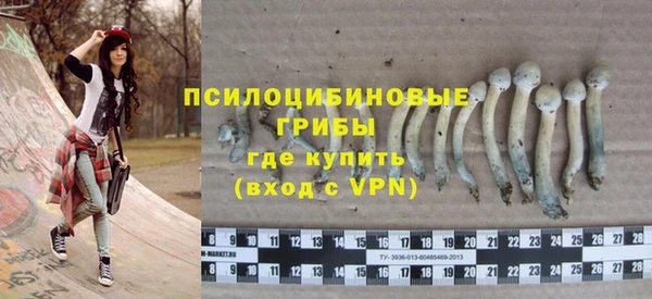 шишки Богданович