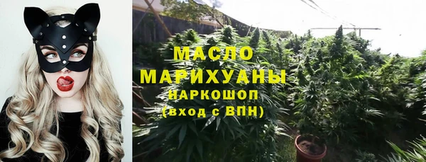 apvp Туринск